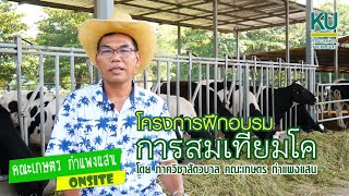 โครงการอบรมผสมเทียมโค...โดย ภาควิชาสัตวบาล คณะเกษตร กำแพงแสน