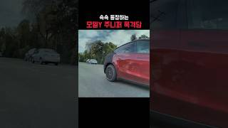 속속 등장하는 모델Y 주니퍼 (feat. 퍼포먼스?!)