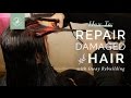 Oway Rebuilding Treatment: How To Repair Damaged Hair with Infrared Technology + Phytokeratin