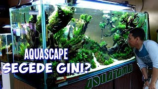 Cara Ampuh Membersihkan Kaca Aquarium Berkerak Dengan Citrun