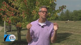 Tim's Inspirational Moments: How's your community?