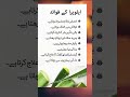 benefits of aloe vera - healthy tips and totkay in urdu #gharelutotkay #skin