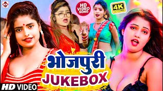 #लगन स्पेशल आर्केस्टा सांग 2023 !! #Dj Remix Video !! #Vicky Raj !! Bhojpuri New #JukeBox Song 2023