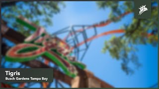 Tigris | Busch Gardens Tampa Bay | Theme Park Music