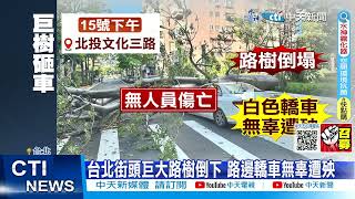 【每日必看】砰!路樹倒塌猛砸轎車 泰利強風吹倒?!  20230716 @中天新聞CtiNews