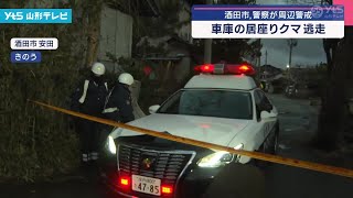 酒田市、警察が周辺警戒 車庫の居座りクマ逃走