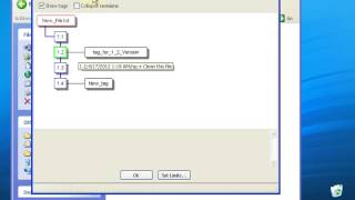 CVS Tutorial 6 Tag