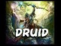 Dungeons and Dragons: The Druid