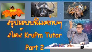 สรุประบบนิเวศ ง่ายๆ สไตล์ KruPm Tutor Part 2