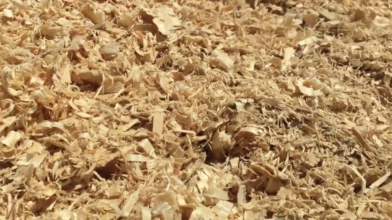 Wood Chips Vs Wood Shavings At Vaughn Josephs Blog