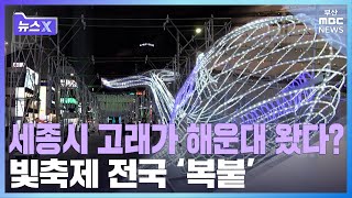 전국 지자체 빛축제 \