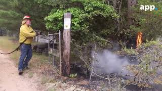 Wharton State Forest Fire