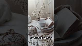 SURAH AL-BAQARA |Ayaat 77-79| Recitation by Mishary Rashid Alafasy | Islam The Heavenly Path