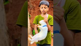 MITTU🐇❤️(മണ്ണിനടിയിൽപെട്ട് മിട്ടു..😥)PART-1)#youtubeshort