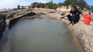 岸边深坑成“海货天堂”，阿阳赌上几十年经验，舀干后果然没失望