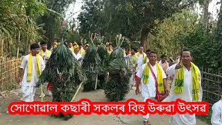 সোণোৱাল কছাৰী বিহু।।Sonowal Kachari Bihu