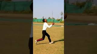 Part 2 🏏 Tennis Ball Cricketer 🙎 Cricket With Vishal #shorts #cricketwithvishal