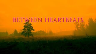 Between Heartbeats