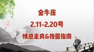 金牛座，2.11-2.20号，情感走向\u0026挽回指南