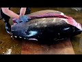 unparalleled superb cutting skill for 415kg super giant bluefin tuna