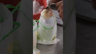 Premium Original Coconut Milk Cendol Mari Malaysia Street food