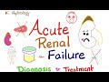 Acute Renal Failure (ARF) - Azotemia - Acute Kidney Injury (AKI) -Diagnosis & Treatment