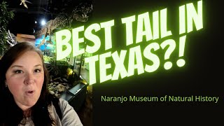 Best Tail in Texas?!-Naranjo Museum of Natural History