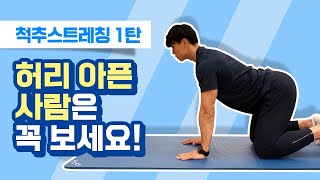 허리통증, 허리 아픈 이유. 답은 척추스트레칭에 있습니다. (캣스트레칭,캣캐멀)