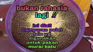 TAMBAHAN ATAU CAMPURAN PELET LELE YANG DIGUNAKAN UNTUK PAKAN TERNAK MURAI BATU@bangagayud4r1der57