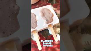 Blueberry Banana Popsicle Recipe