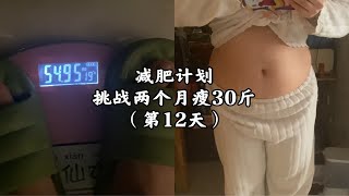 挑战两个月瘦30斤，这回要么瘦要么s，第12天。