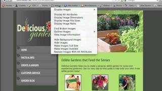 Intro to Using the Web Developer Plugin