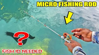 Tiny Fishing Rod Catches WEIRD FISH! ID Needed | Monster Mike Fishing