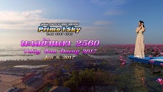 ทะเลบัวแดง 2560 - Talay Bua Daeng 2017