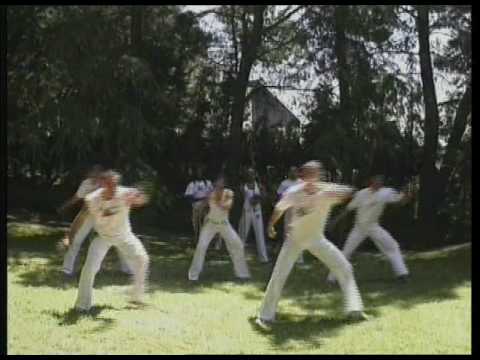 Capoeira Tutorial 3 Kicks Youtube