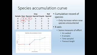 04B   Species accumulation and rarefaction