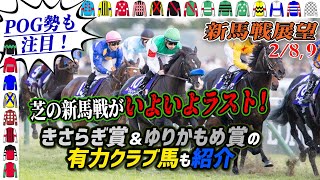 【週刊新馬展望2/8-9】芝の新馬が今週で終了・新馬展望もいよいよ大詰め！ゆりかもめ賞のウィクトルウェルス応援してください【節約大全】Vol.1353