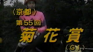 1994年(平成6年)第55回菊花賞(G1)ナリタブライアン 福島民友カップ(OP)ウェディングケーキ