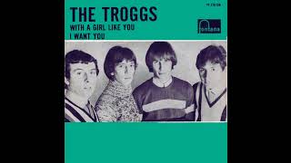 The Troggs - With A Girl Like You - 1966 - 5.1 surround (STEREO in)