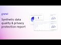 Synthetic Data Quality & Privacy Protection Report Walkthrough