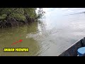 Tunggu Air Bergerak Turun, Lempar Umpan Dijalur Predator Muara Sungai Melintas|auto Byarrr