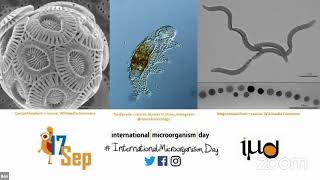 International Microorganism Day Live Stream (2/4)