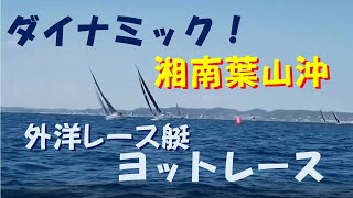 【三浦半島湘南】外洋レース艇　ヨットレース観戦＠湘南葉山沖　ダイナミック！