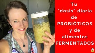 ¿Cuánto ALIMENTO FERMENTADO comer cada día?