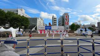 よさこい塾 ありがた屋 高知よさこい2日目 中央公園演舞場