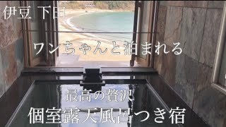 [伊豆2泊3日旅行]ワンちゃんも入れる💕オーシャンビュー 個室露天風呂付き宿が最高すぎました！