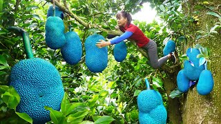 Harvesting Jackfruit \u0026 Cucumber Goes To Market Sell - Cooking - Garden | Phuong Daily Harvesting