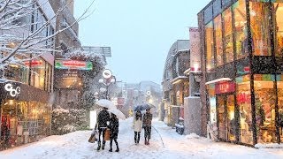 Tokyo Snow 2014 - 雪の東京