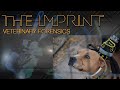 GFJC | The Imprint | Veterinary Forensics