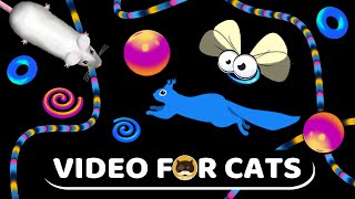 CAT GAMES - Strings, Mice, Flies, Squirrels, 3D Objects | Video for Cats | CAT TV | 1 Hour.